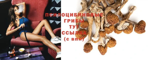 тгк Балахна